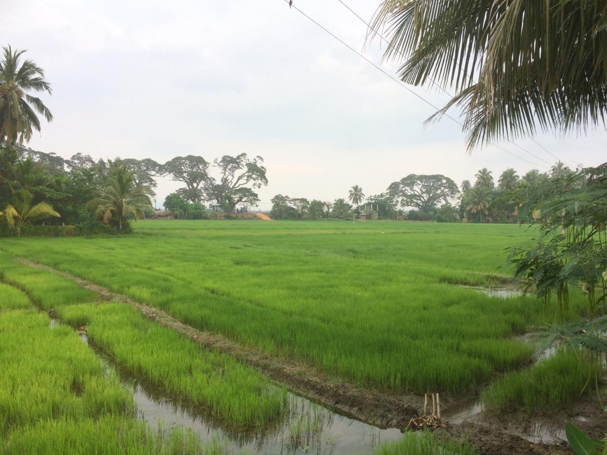 Hotel View Point Tissamaharama Room photo